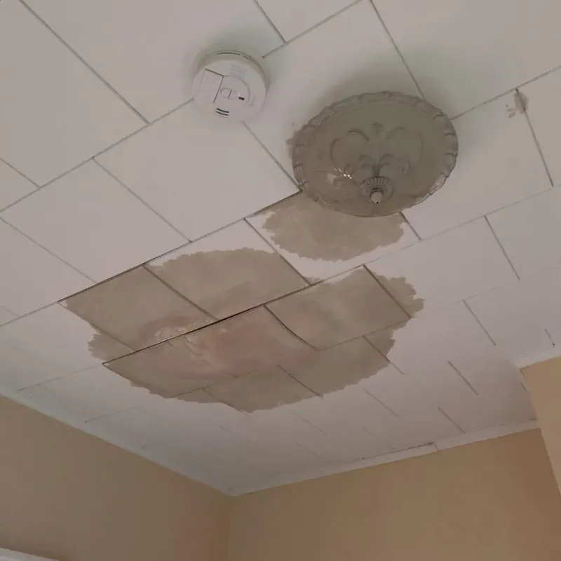 Ceiling Water Damage Repair in Bailey County, TX