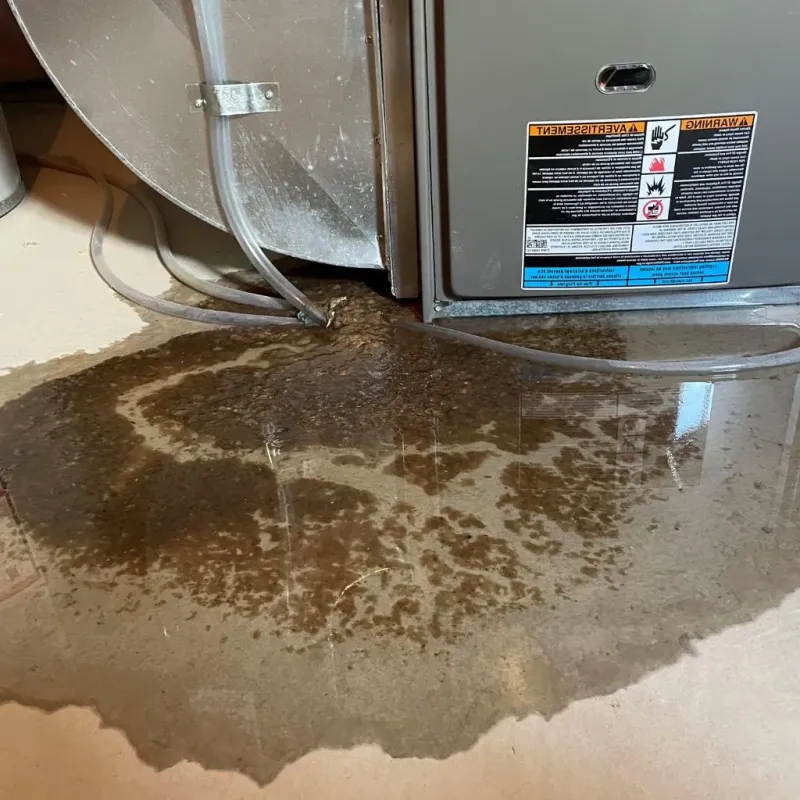 Pipe Burst and Leak Restoration in Bailey County, TX