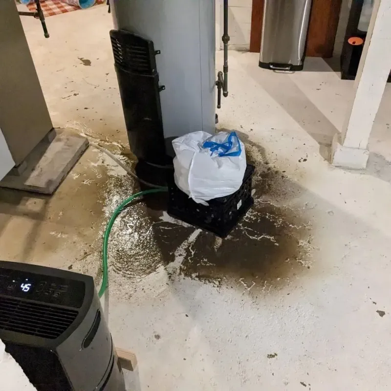 Sewage Backup Cleanup Service in Bailey County, TX